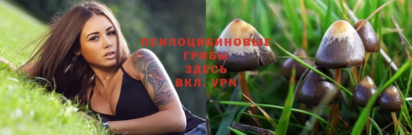 синтетический гашиш Алексин