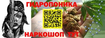 сатива Иваново
